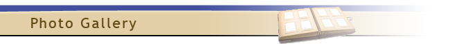 photoBANNER1.jpg